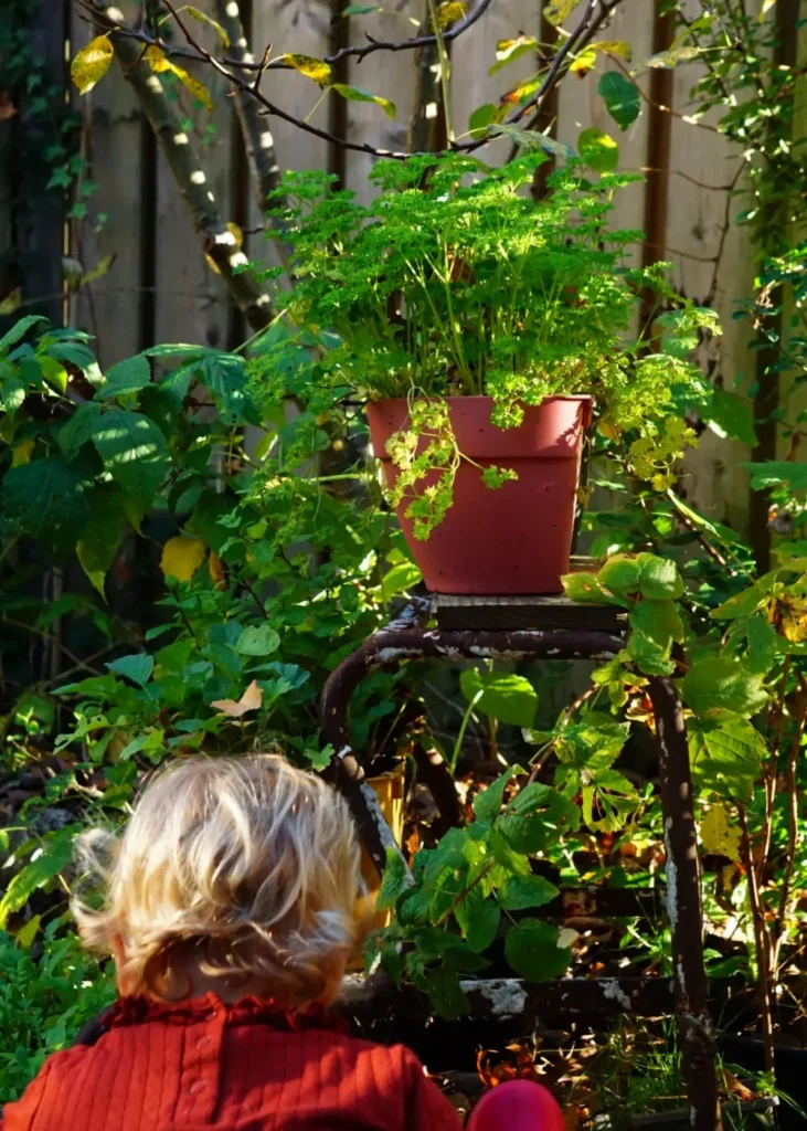 De kracht van smaakvol groen